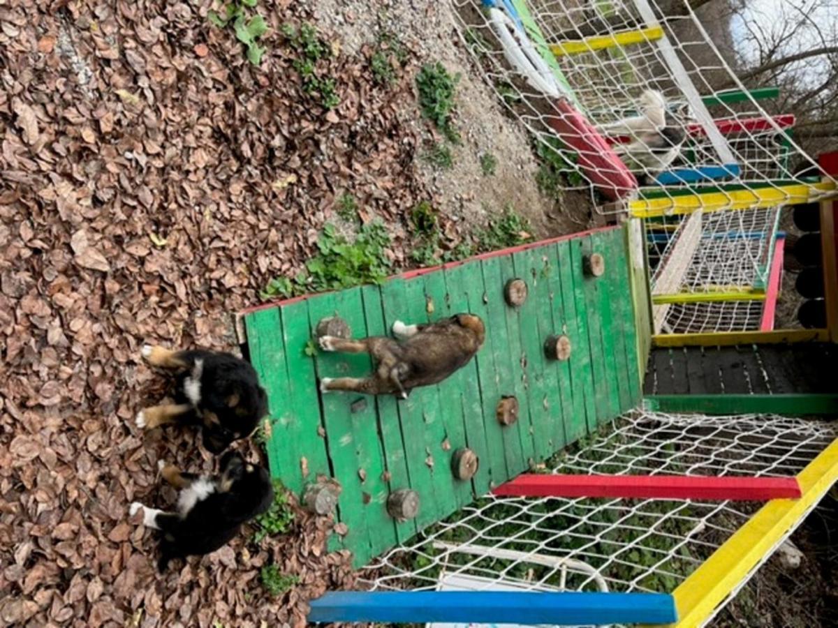 Vila Milica Poganovo Bagian luar foto